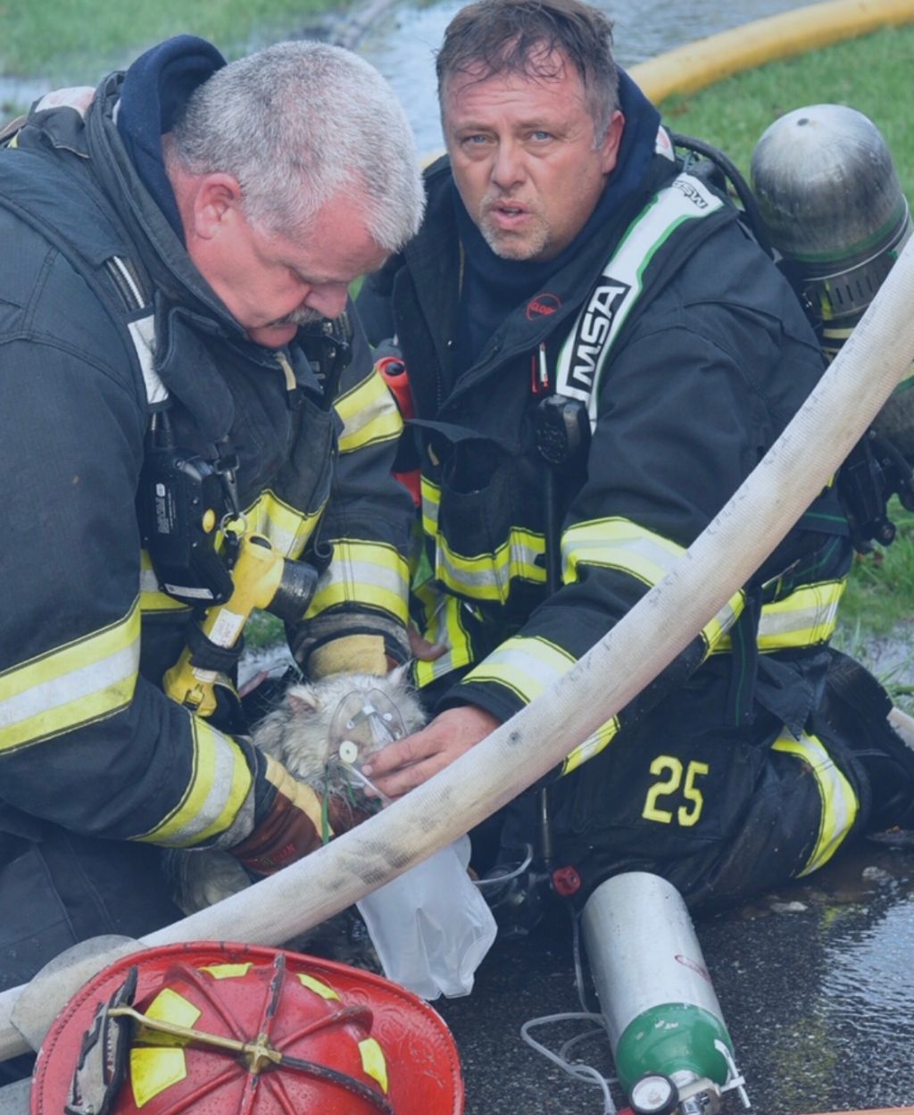 Firefighters rescue three cats from blaze that destroyed Seabrook home